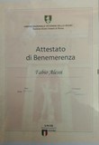 Attestato Benemerenza CONI Fabio Alessi